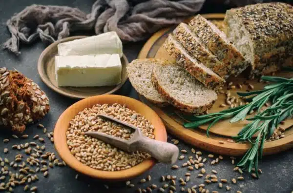 Malted & Malt-based Foods I PT no 2026MF40R1 I 2026