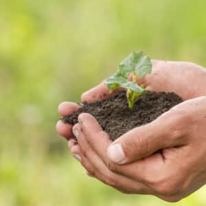 Biofertilizers PT 2026MBF01R1*