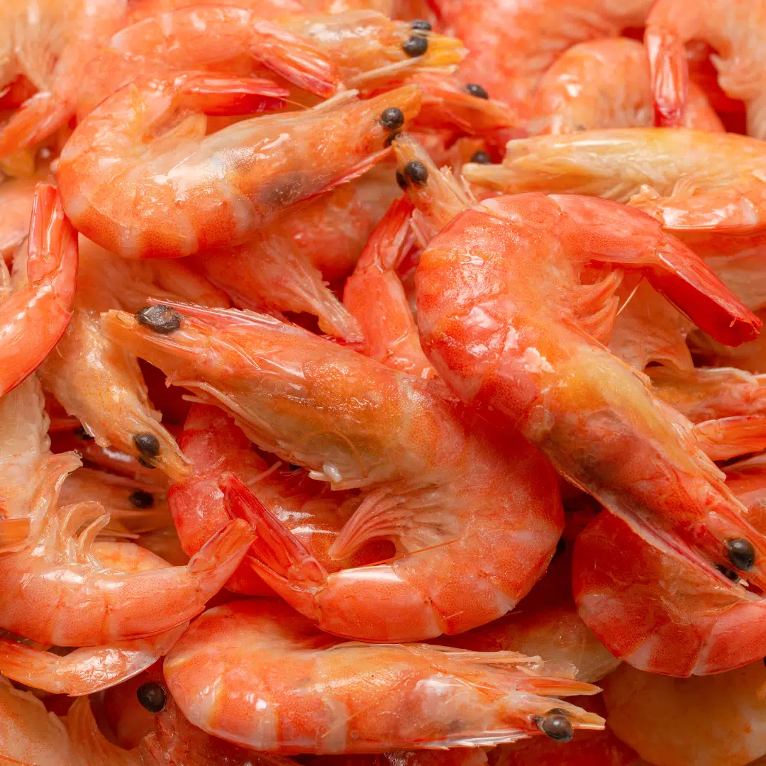 Marine and aquaculture food products proficiency testing